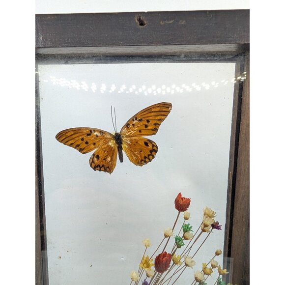 Vintage Shadow Box Butterflies Flowers display glass 12.4" x 5.4" boho READ - Picture 4 of 16